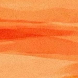 Meet your Posher, Jannah mikaela